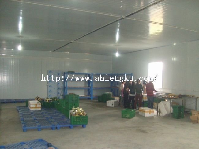 工人在冷庫內(nèi)操作 工人在冷庫內(nèi)操作