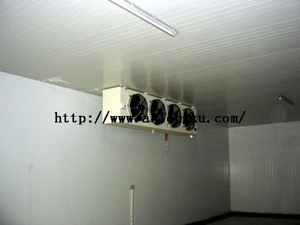 冷庫內(nèi)部角.jpg 冷庫內(nèi)部角.jpg